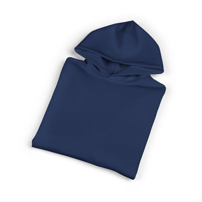 Essentials Embroidered Hoodie (Navy + Baby Blue)